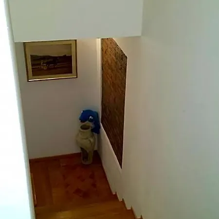 Il Delfino a Bologna-3